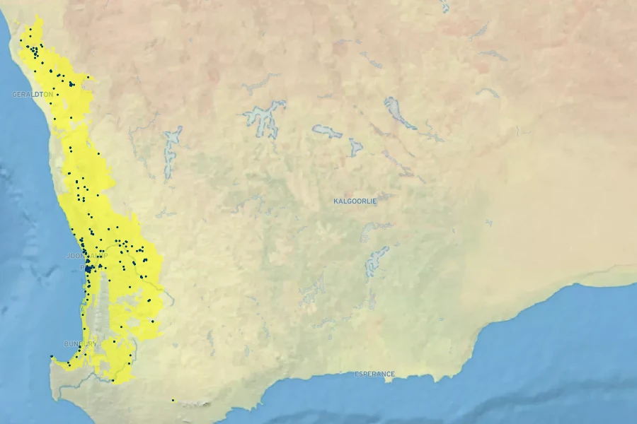 Grevillea vestita Native Range