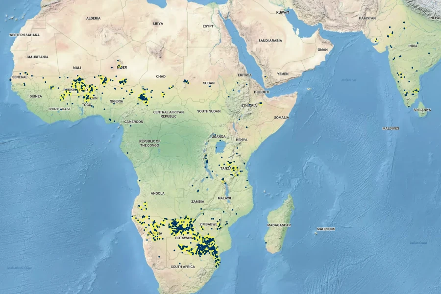 Grewia flavescens Native Range