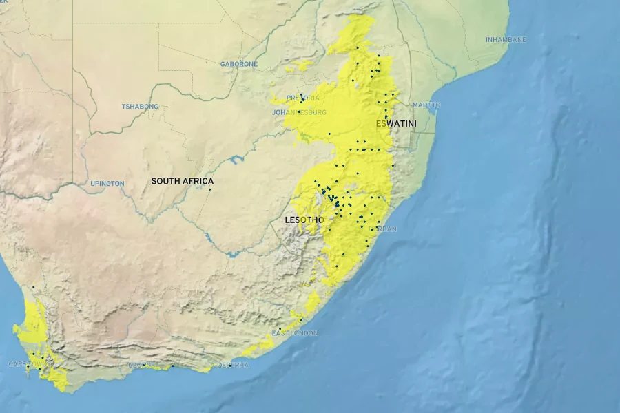 Greyia sutherlandii Native Range
