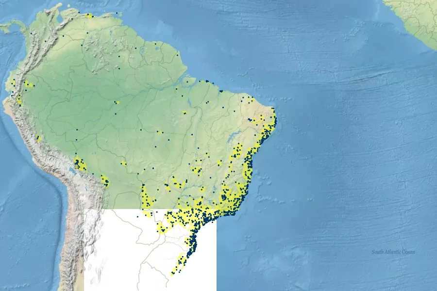 Guapira opposita Native Range