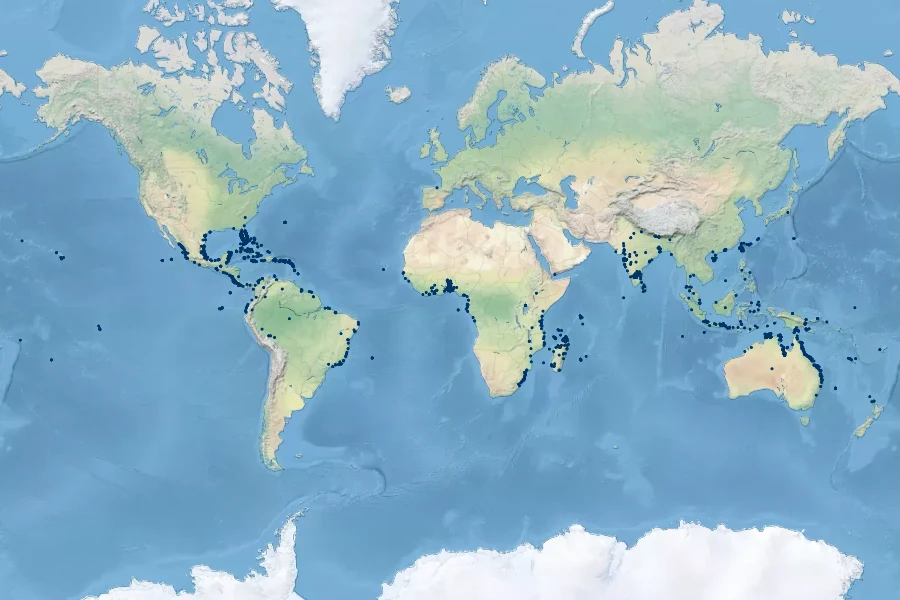 Guilandina bonduc Native Range