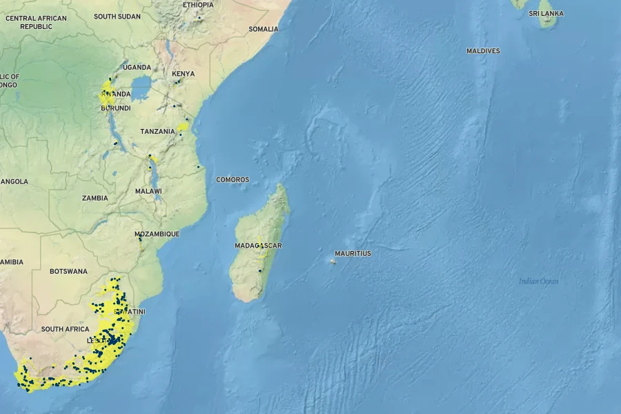 Gunnera perpensa Native Range