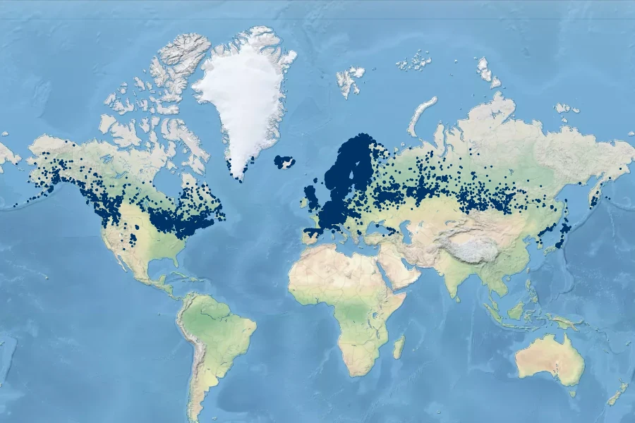 Gymnocarpium dryopteris Native Range