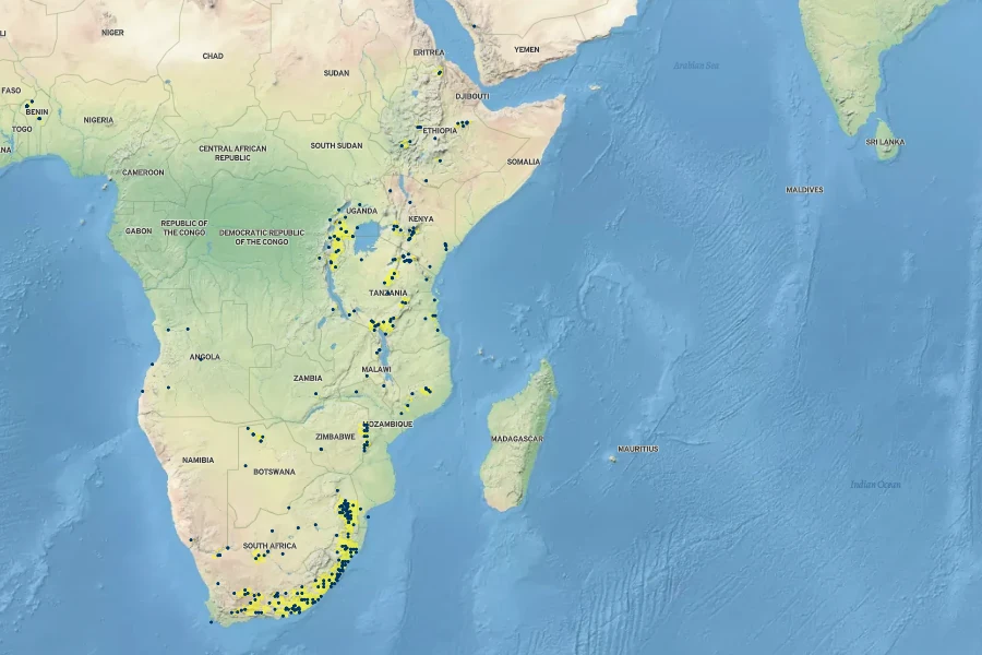 Gymnosporia heterophylla Native Range