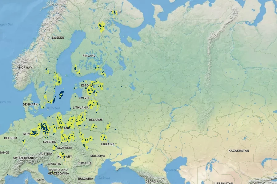 Gypsophila fastigiata Native Range