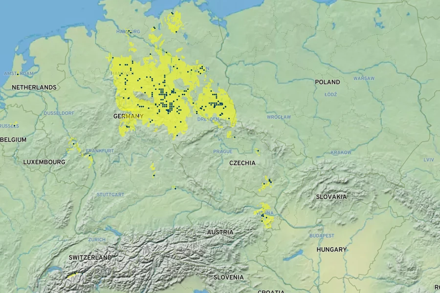 Gypsophila scorzonerifolia Native Range