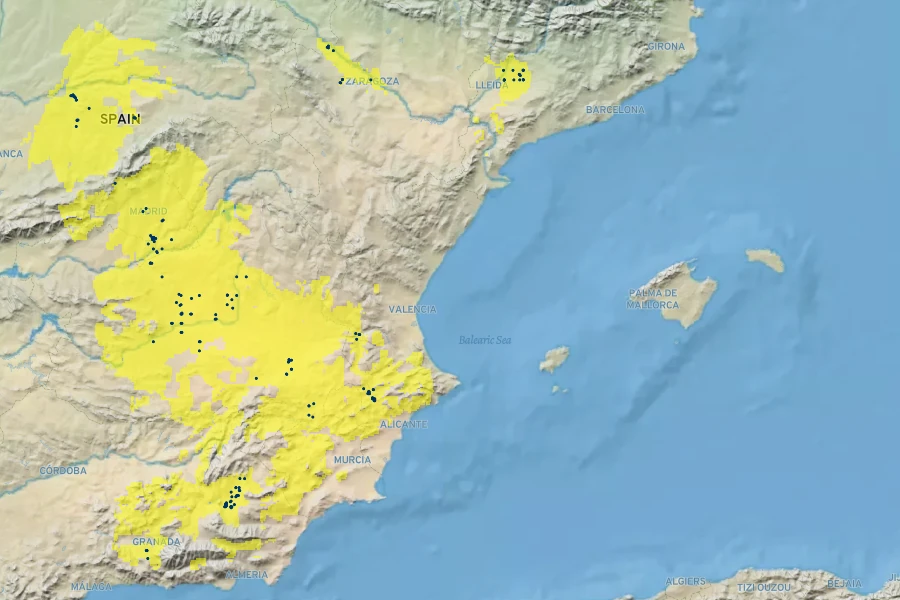 Gypsophila tomentosa Native Range