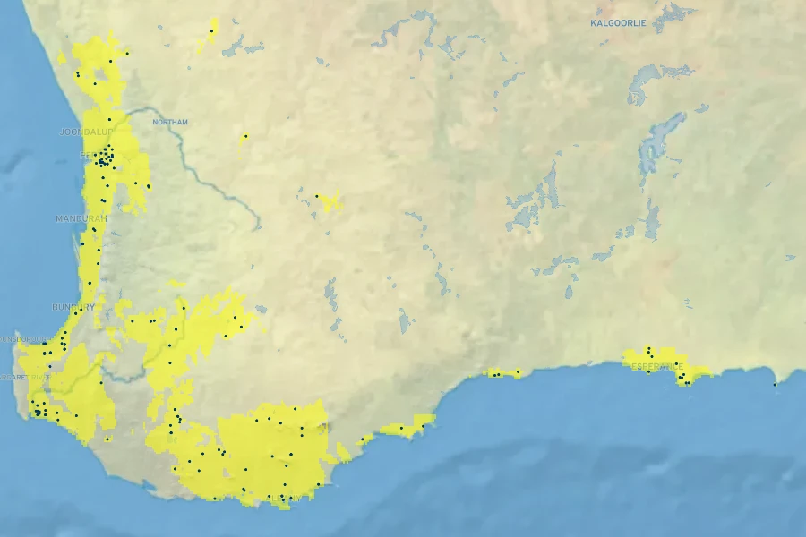 Hakea sulcata Native Range