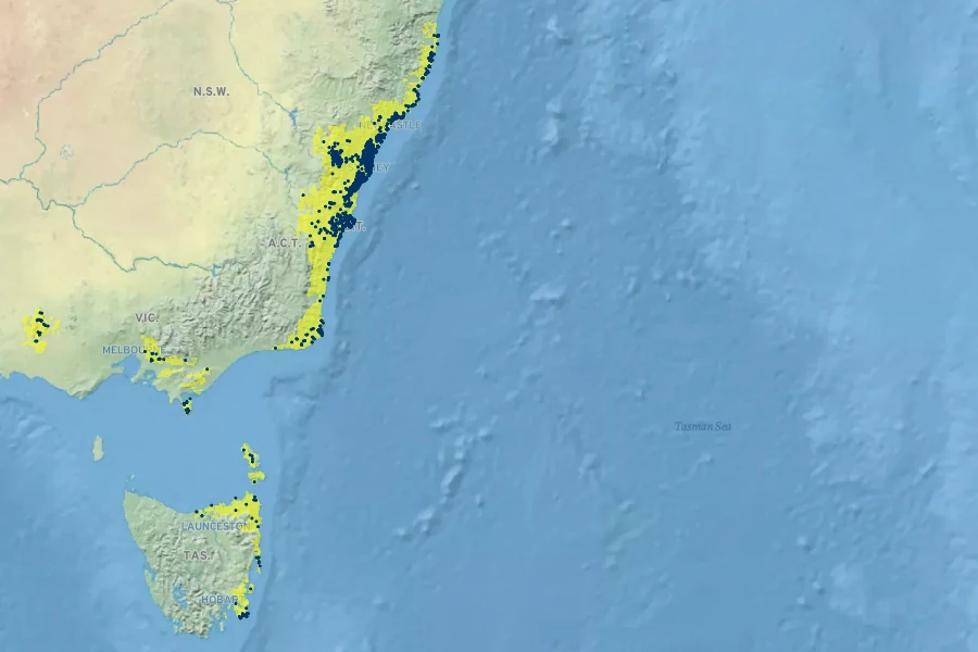 Hakea teretifolia Native Range