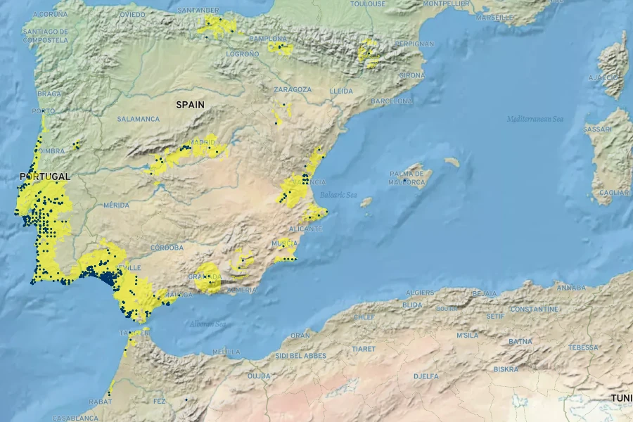Halimium calycinum Native Range