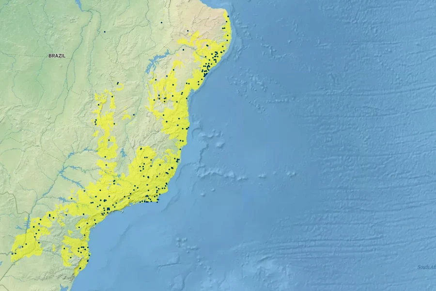 Handroanthus chrysotrichus Native Range