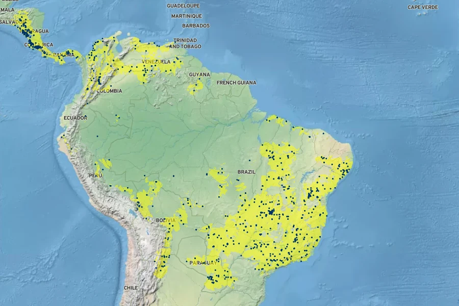Handroanthus ochraceus Native Range