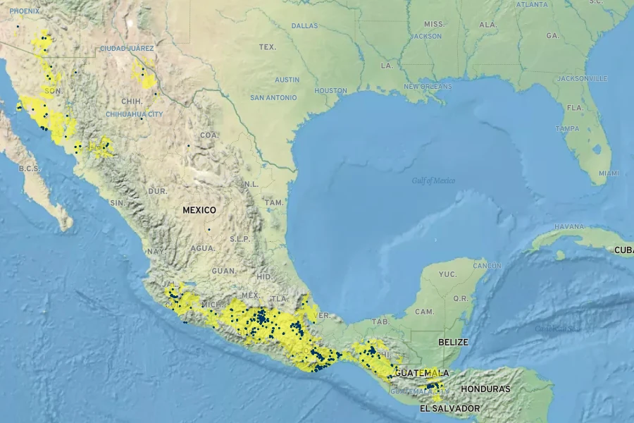 Haplophyton cimicidum Native Range