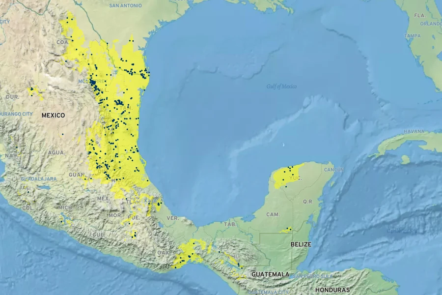Havardia pallens Native Range