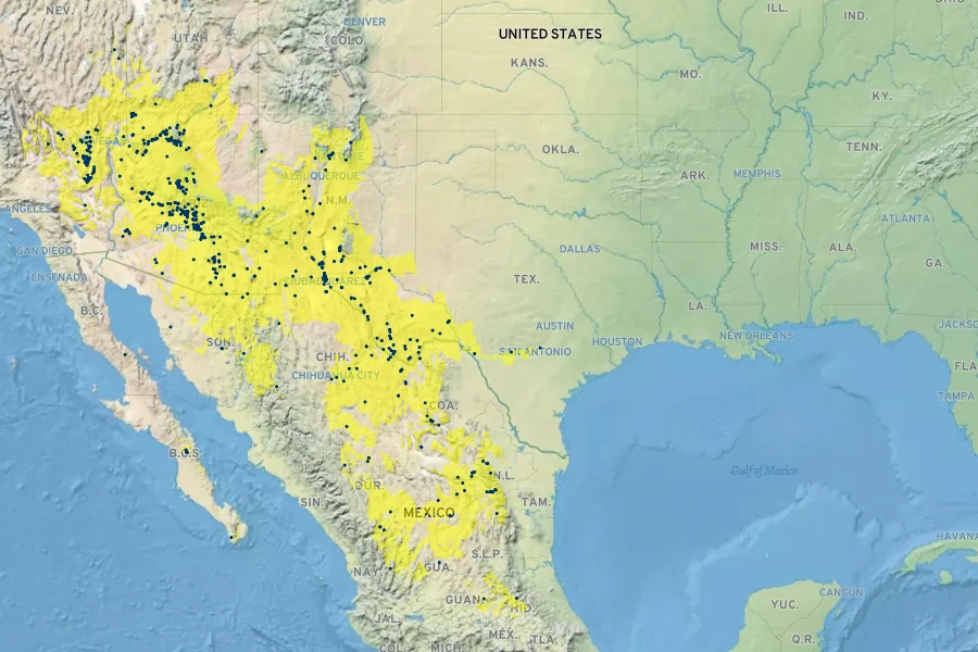 Hedeoma nana Native Range