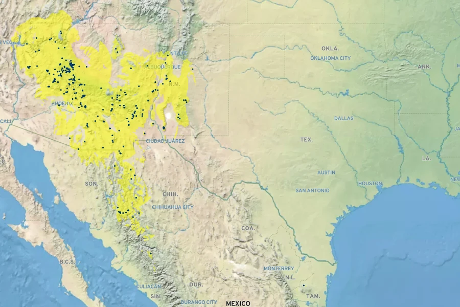 Hedeoma oblongifolia Native Range