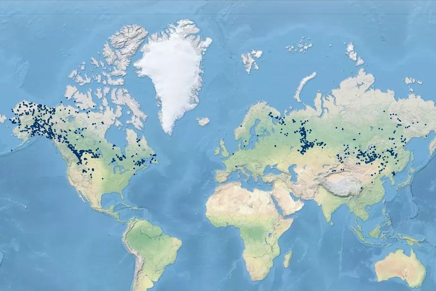 Hedysarum alpinum Native Range