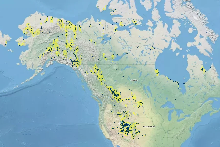 Hedysarum boreale Native Range