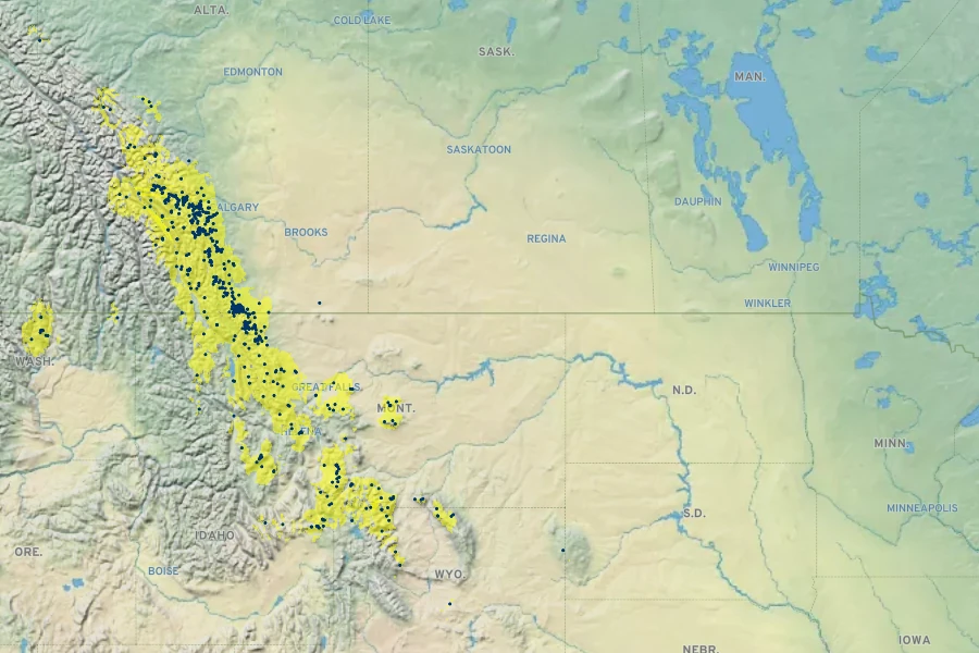 Hedysarum sulphurescens Native Range