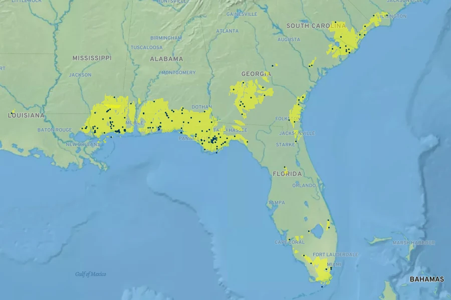 Helenium vernale Native Range