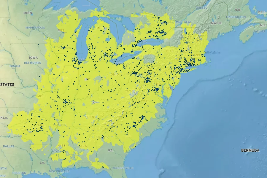 Helianthus divaricatus Native Range