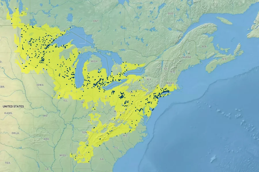 Helianthus giganteus Native Range