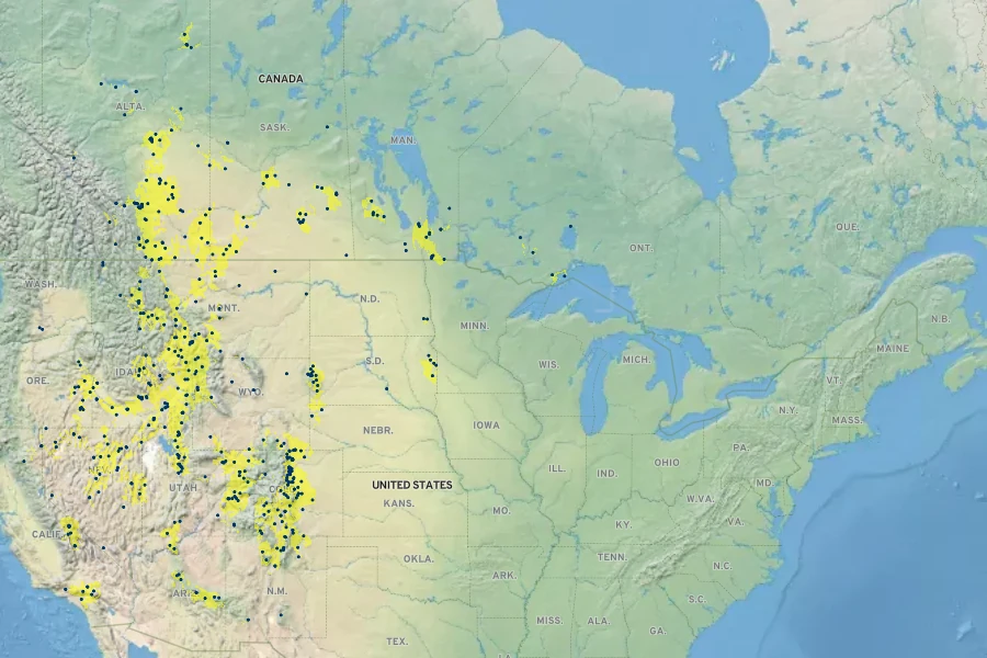 Helianthus nuttallii Native Range