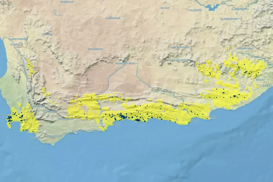 Helichrysum petiolare Native Range
