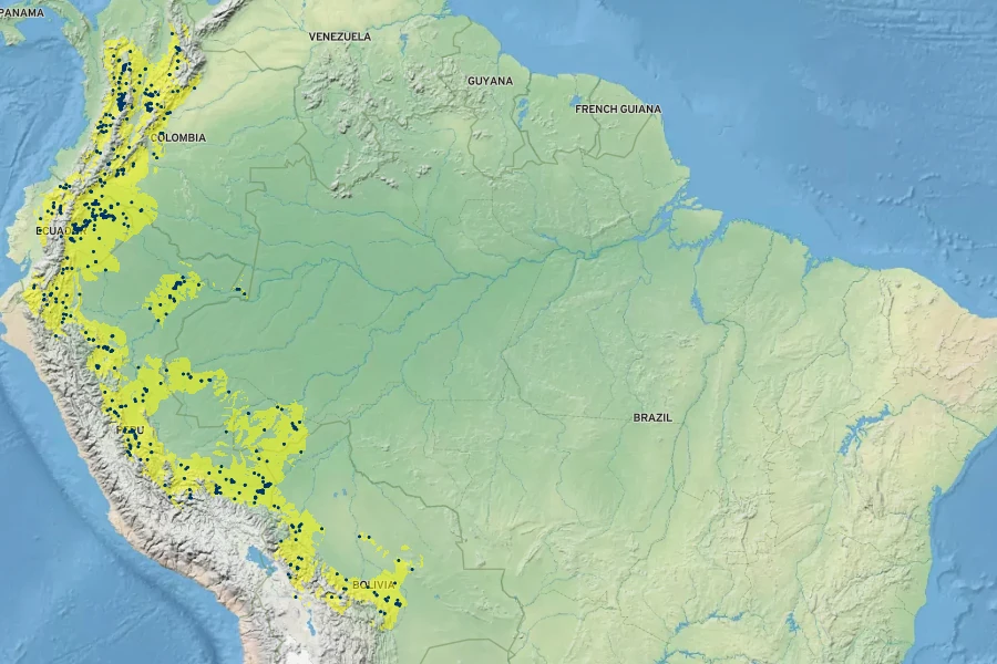 Heliconia rostrata Native Range