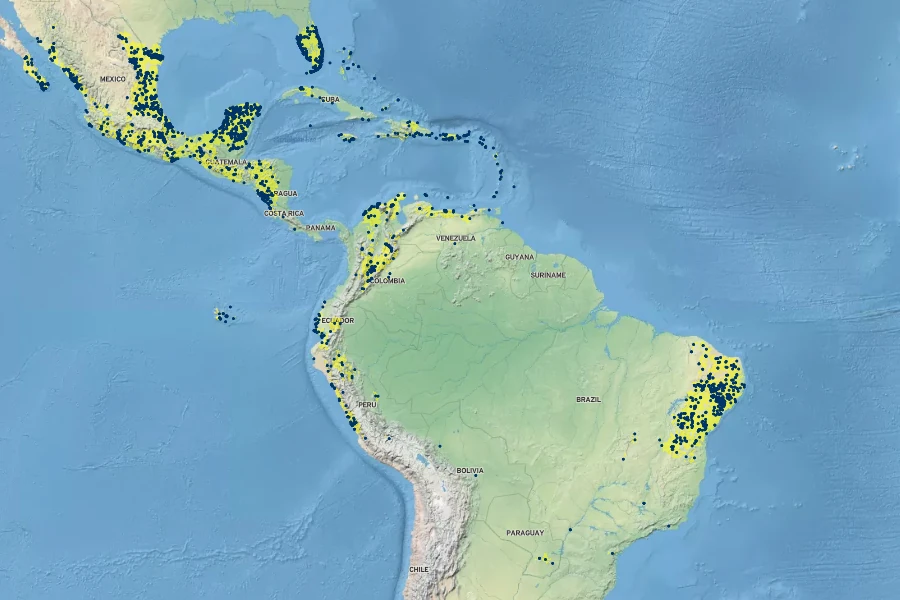 Heliotropium angiospermum Native Range
