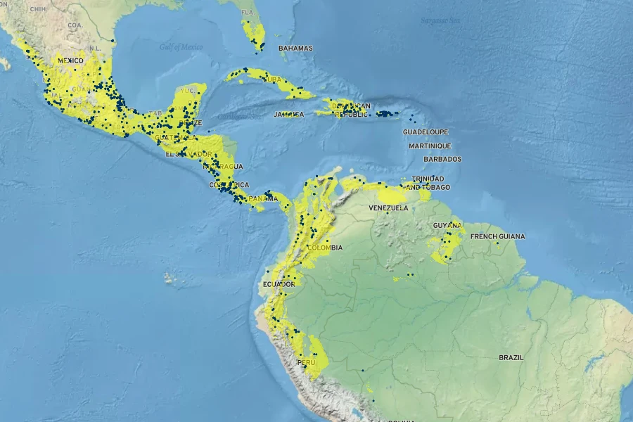 Heliotropium verdcourtii Native Range