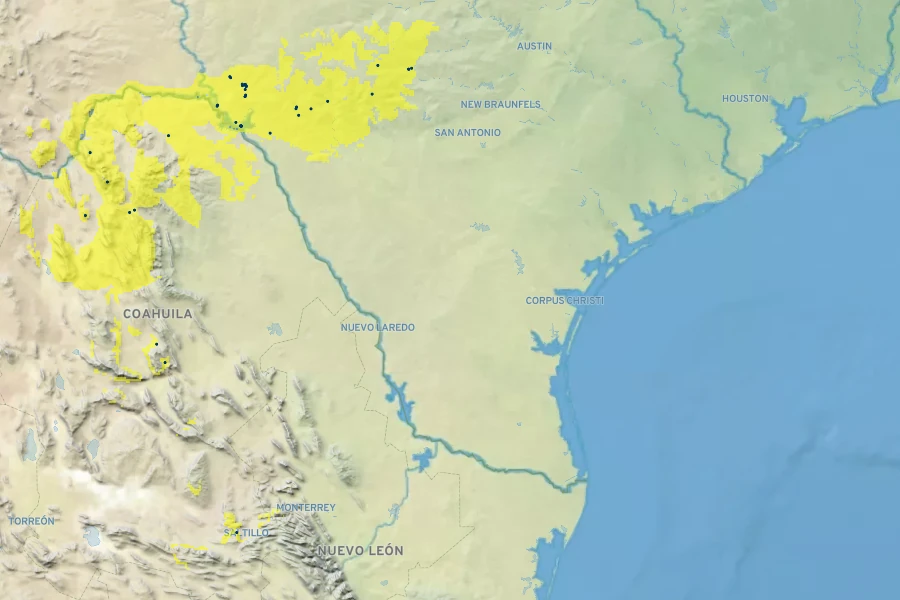 Hesperaloe parviflora Native Range