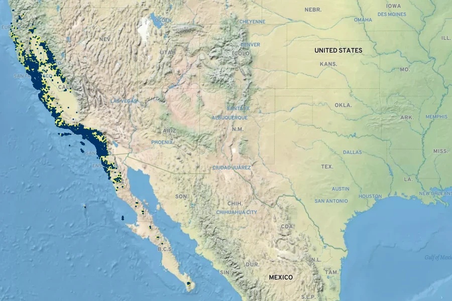 Heteromeles arbutifolia Native Range