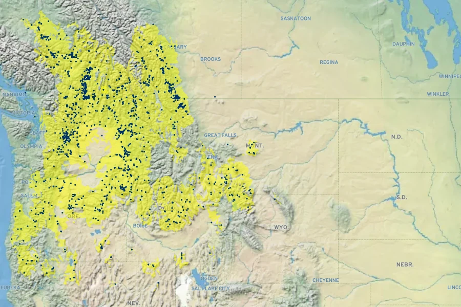 Heuchera cylindrica Native Range