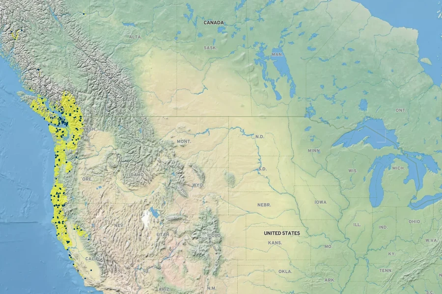 Heuchera micrantha var. diversifolia Native Range