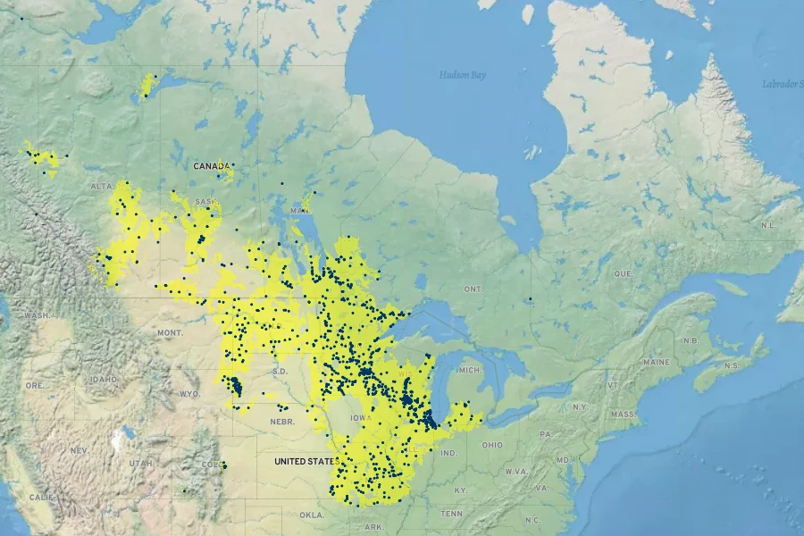 Heuchera richardsonii Native Range
