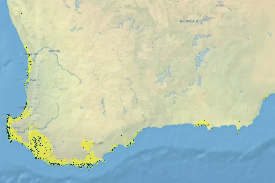 Hibbertia cuneiformis Native Range