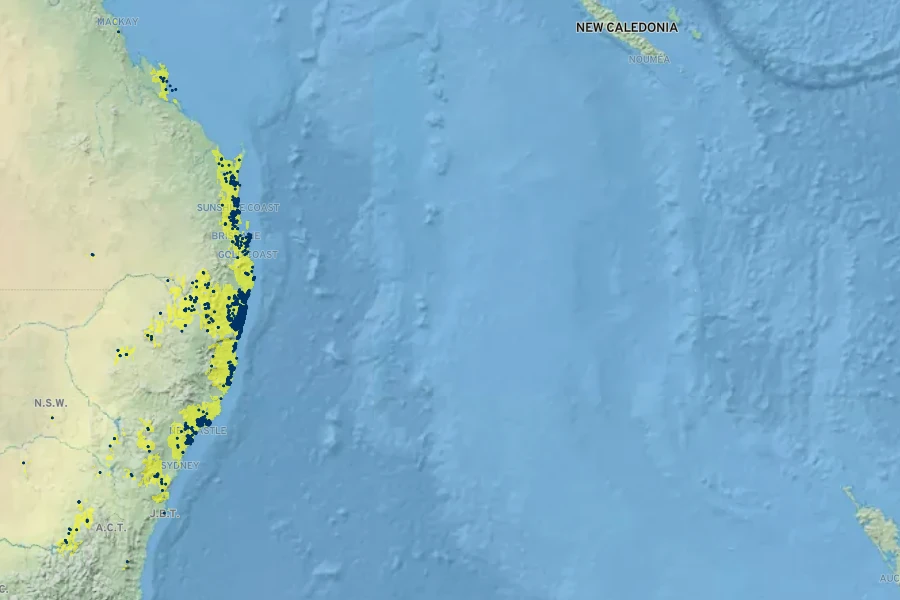 Hibbertia vestita Native Range
