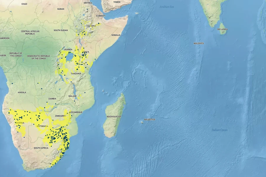 Hibiscus calyphyllus Native Range