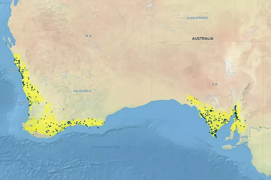 Hibiscus huegelii Native Range