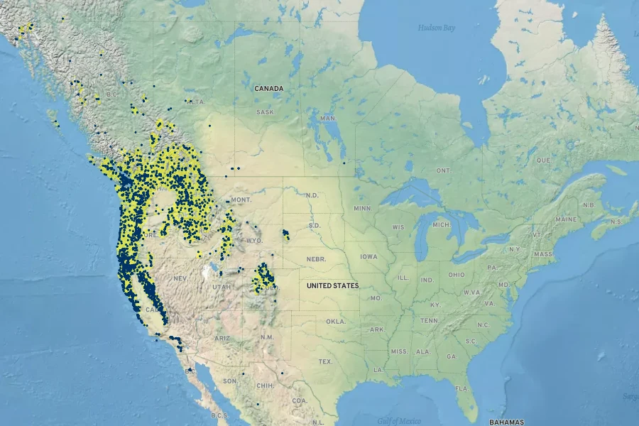Hieracium albiflorum Native Range