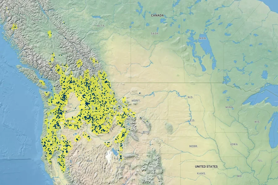 Hieracium scouleri Native Range