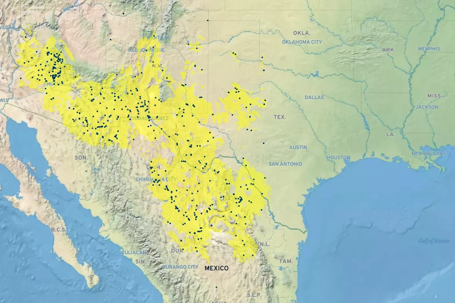 Hilaria mutica Native Range