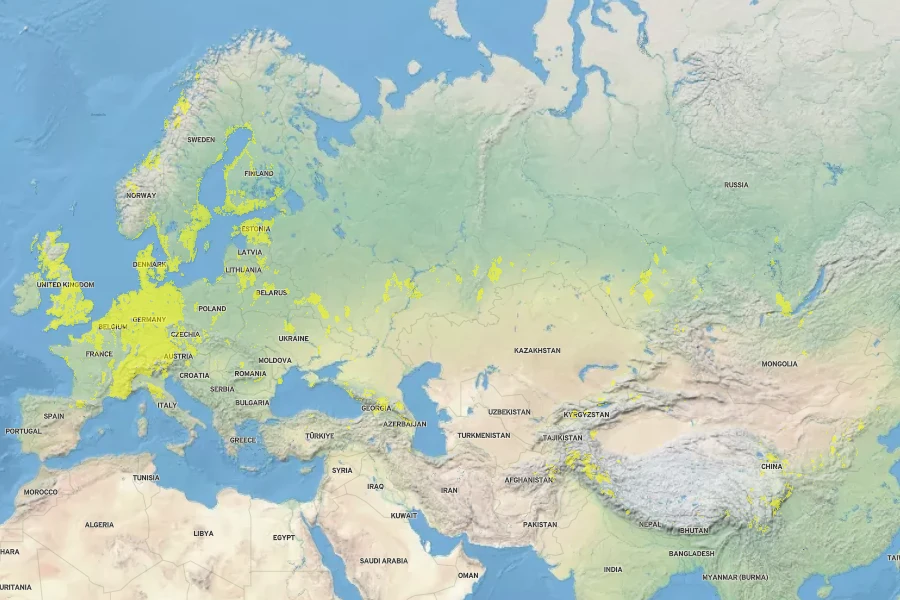 Hippophae rhamnoides Native Range