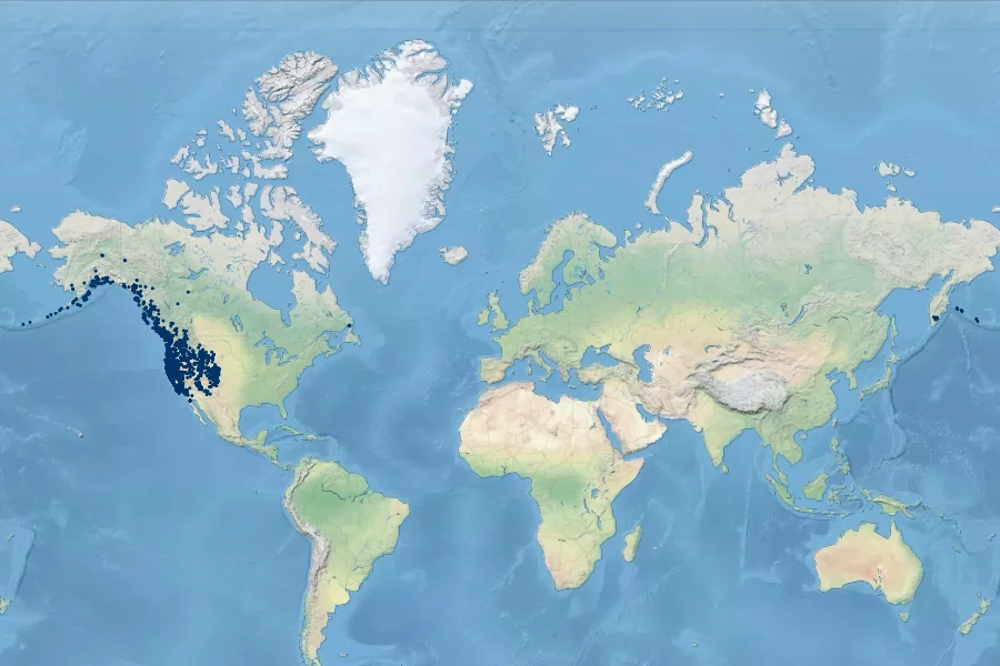 Hordeum brachyantherum Native Range