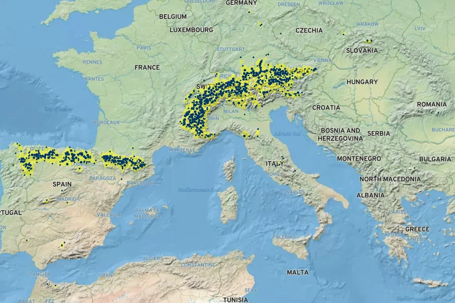 Hornungia alpina Native Range