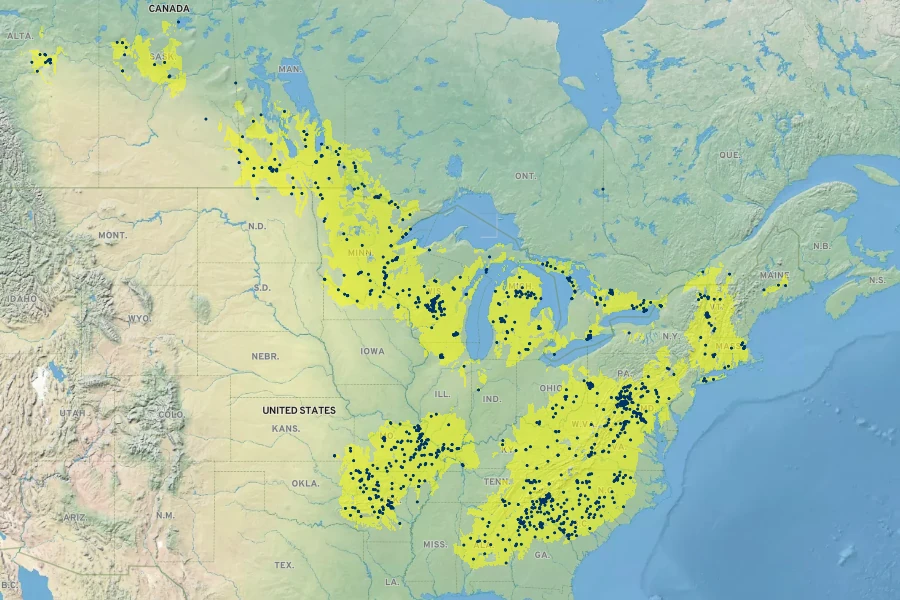 Houstonia longifolia Native Range