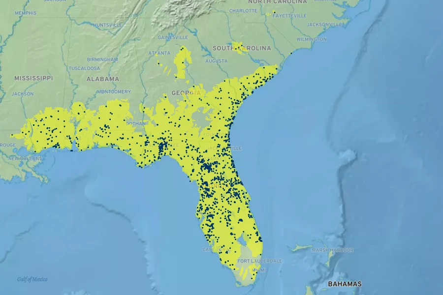 Houstonia procumbens Native Range