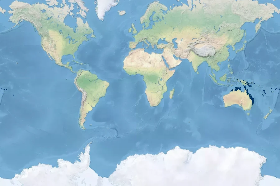 Hoya australis Native Range