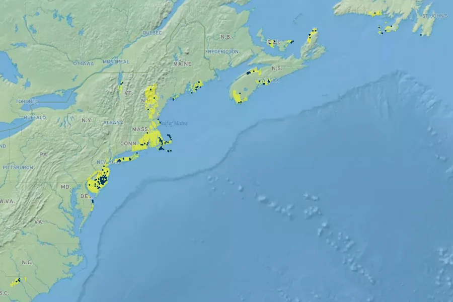 Hudsonia ericoides Native Range